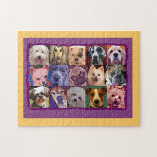 Puzzles of Many Breeds