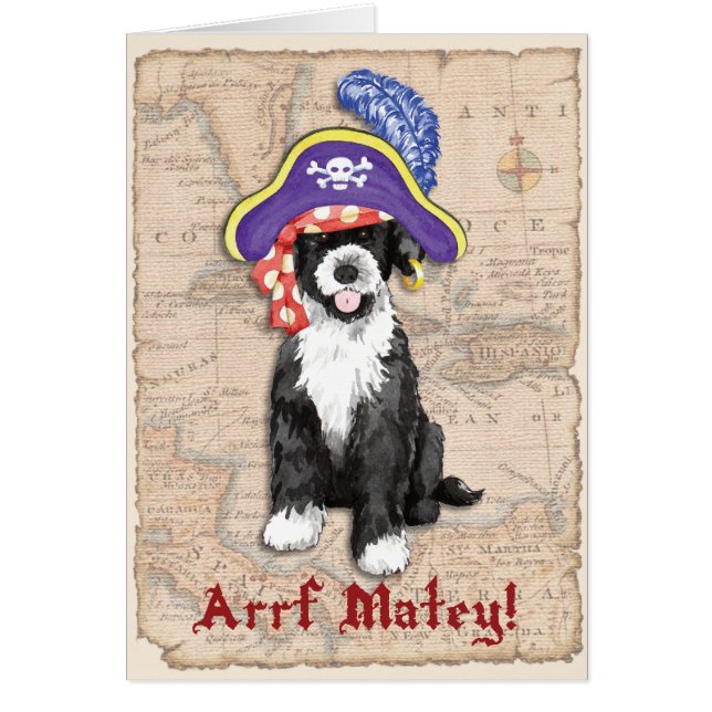 PWD Pirate Card (Front)