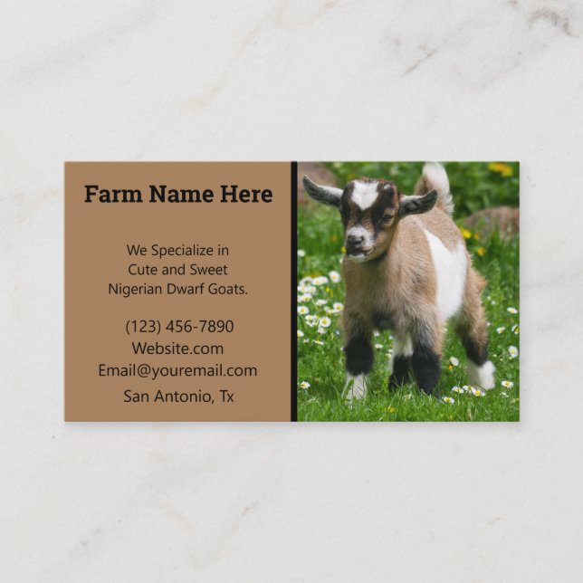 Pygmy Dwarf Goat Breeder Business Card (Front)