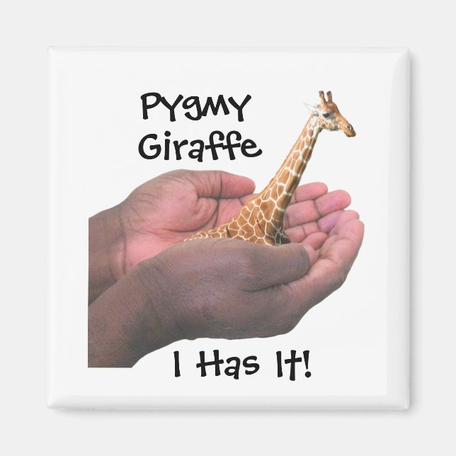 Pygmy Giraffe Magnet (Front)