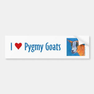 Pygmy Goat Bumper Sticker