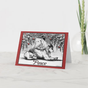 Pygmy Goat Christmas Card Peace