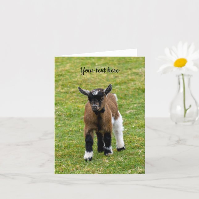 Pygmy Goat Kid Greeting Card (Small Plant)