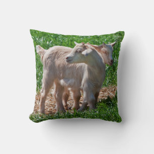 Pygmy Goat Kids Pillow