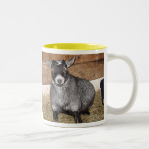 Pygmy Goat, Not a morning person Two-Tone Coffee Mug
