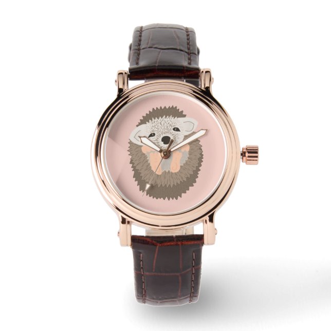 Pygmy Hedgehog is SO Cute! Watch (Front)