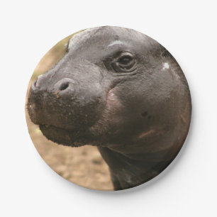 pygmy-hippo-1 paper plate