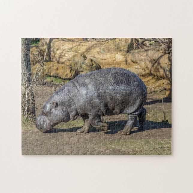 Pygmy hippo puzzle (Horizontal)