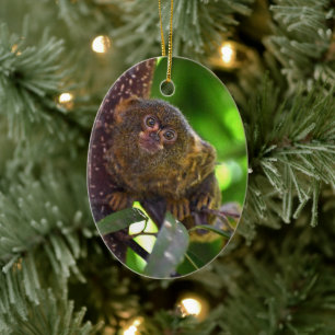 Pygmy Marmoset Magic Ceramic Ornament