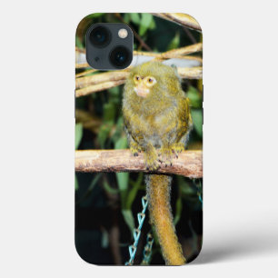 Pygmy Marmoset On Branch, iPhone 13 Case