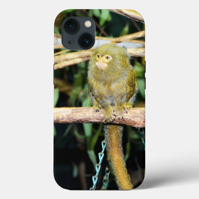 Pygmy Marmoset On Branch, iPhone 13 Case (Back)