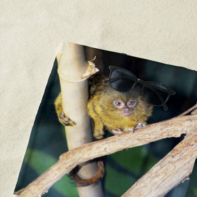 Pygmy Marmoset Tree Hugger, Beach Towel (In Situ)