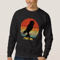 Pygmy Owl little Owls Bird Night Moon Owl