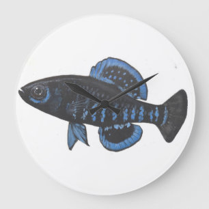 Pygmy Sunfish Elassoma gilberti Wall Clock