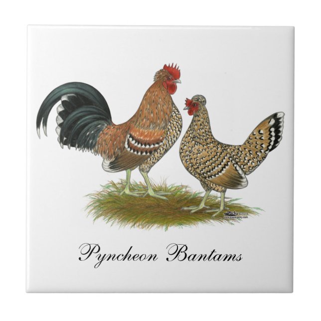 Pyncheon Bantams Ceramic Tile (Front)