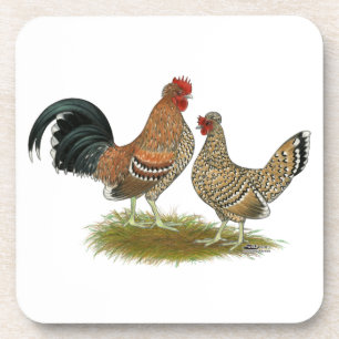 Pyncheon Bantams Coaster