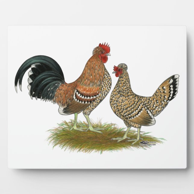 Pyncheon Bantams Plaque (Front)