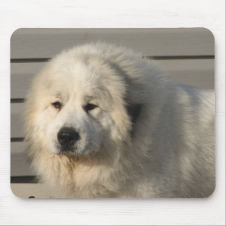 Pyr Power Mouse Pad