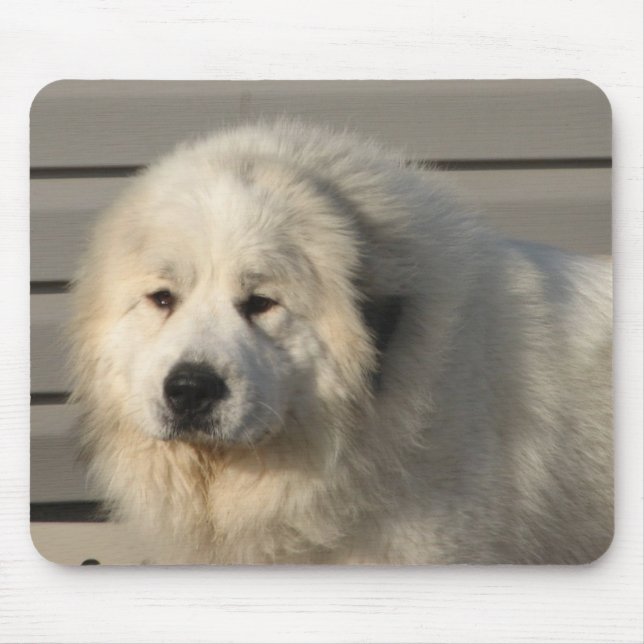 Pyr Power Mouse Pad (Front)