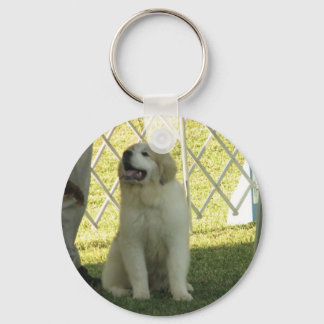 Pyr Puppy Key Ring