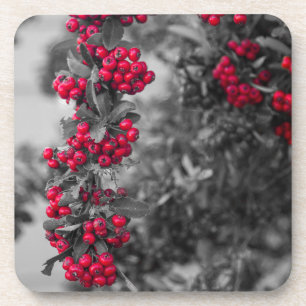 Pyracantha Berry Red and Grey Botanical Coaster