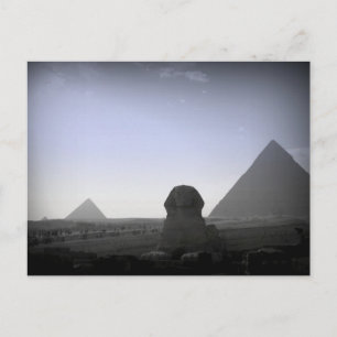 Pyramid and Sphinx Postcard
