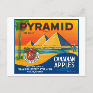 Pyramid Apple Label - Penticton B.C. Canada Postcard