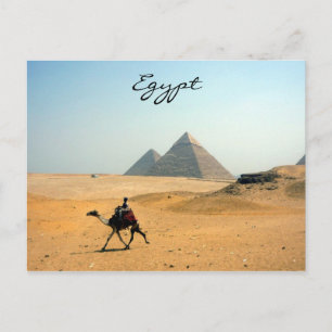 pyramid camel postcard