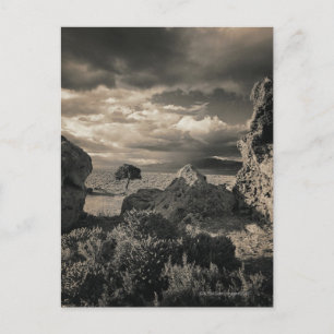 Pyramid Lake, Nevada 2 Postcard