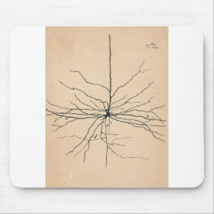 Pyramida Neuron Drawing Santiago Ramon y Cajal Mouse Pad