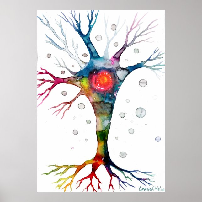 Pyramidal neuron in the neocortex poster (Front)