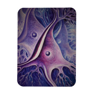 Pyramidal neuron magnet