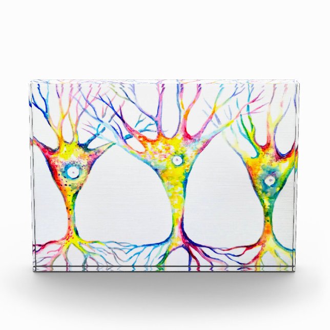 Pyramidal neurons trio photo block (Front)