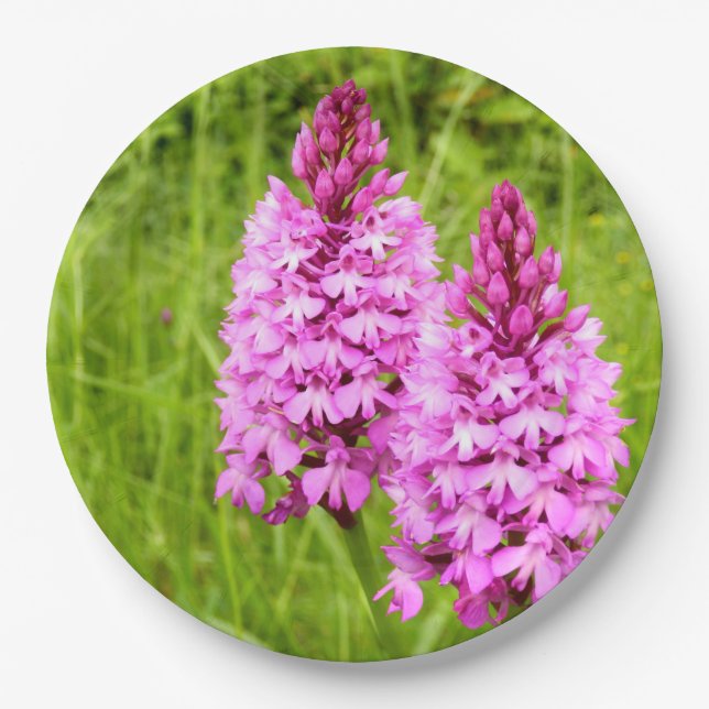 Pyramidal Orchid Paper Plates (Front)