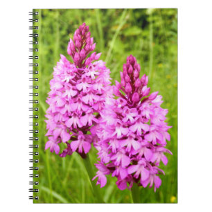 Pyramidal Orchid Spiral Photo Notebook