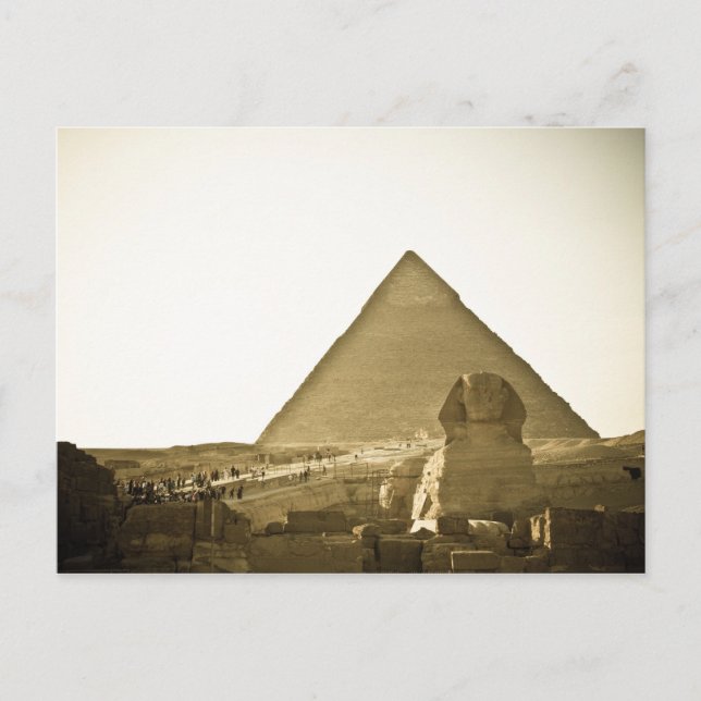 Pyramids at Giza in Cairo, Egypt Postcard (Front)