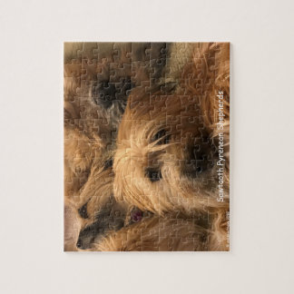 Pyrenean Shepherd Jigsaw Puzzle
