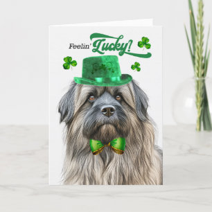 Pyrenean Shepherd Lucky St Patrick's Day Holiday Card