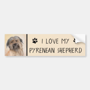 Pyrenean Shepherd Painting - Cute Original Dog Art Bumper Sticker