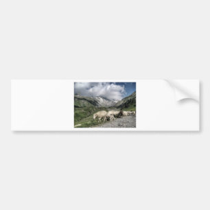 pyrenees landscape bumper sticker