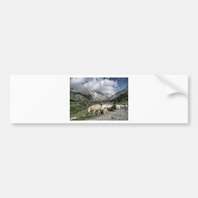 pyrenees landscape bumper sticker (Front)