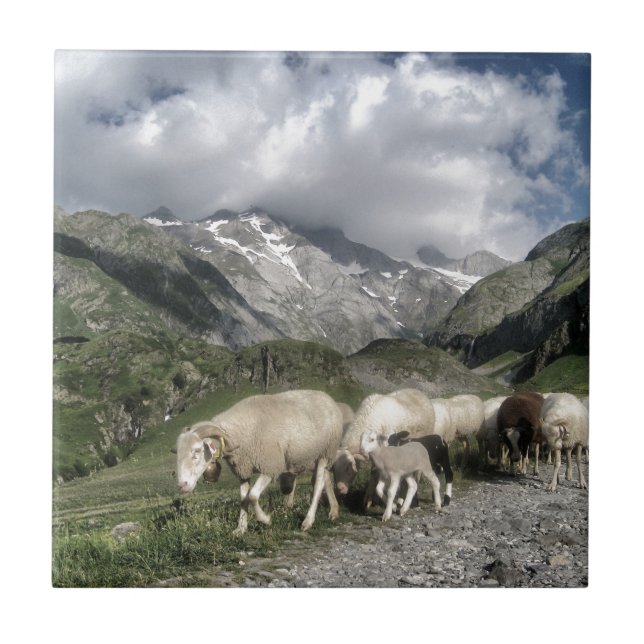 pyrenees landscape ceramic tile (Front)