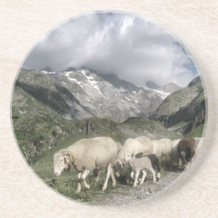 pyrenees landscape coaster