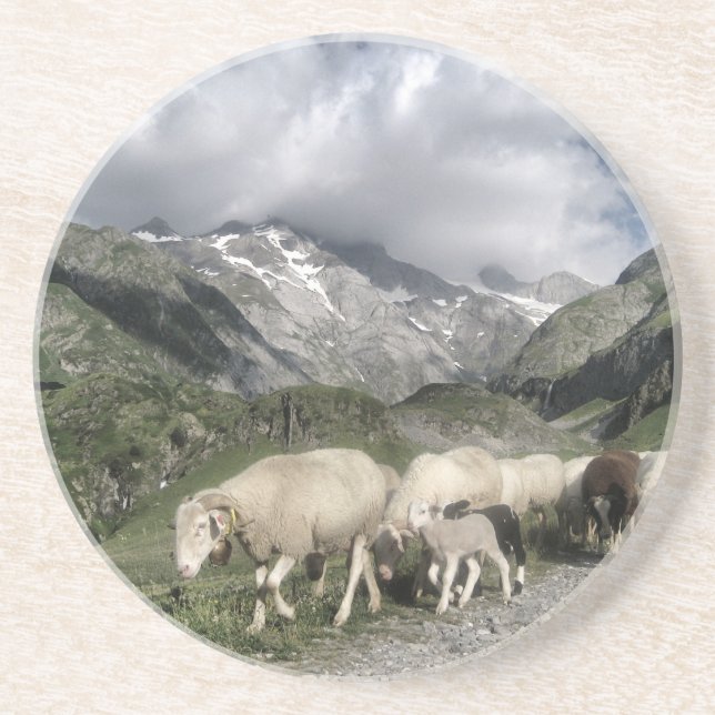 pyrenees landscape coaster (Front)