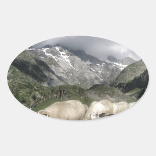 pyrenees landscape oval sticker