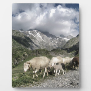 pyrenees landscape plaque