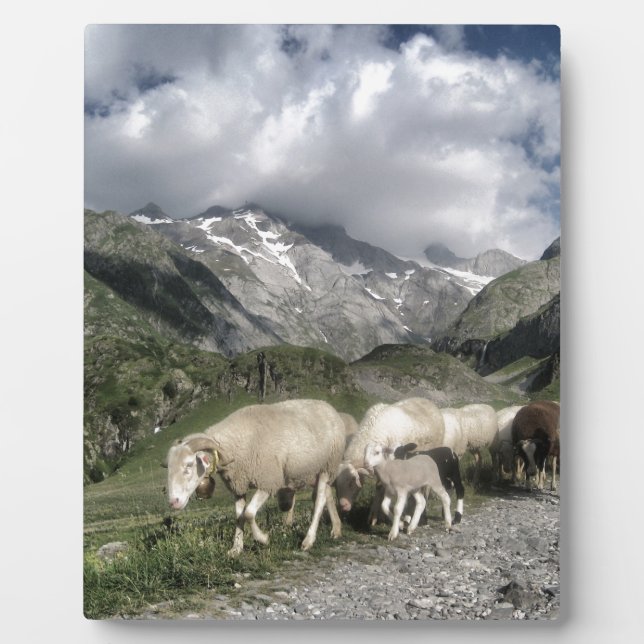 pyrenees landscape plaque (Front)