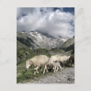 pyrenees landscape postcard