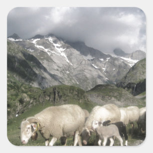 pyrenees landscape square sticker
