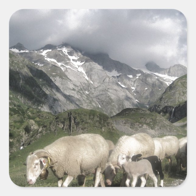 pyrenees landscape square sticker (Front)